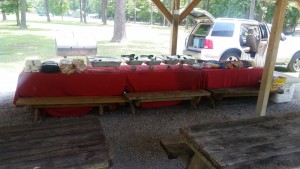 La Petite Academy Picnic